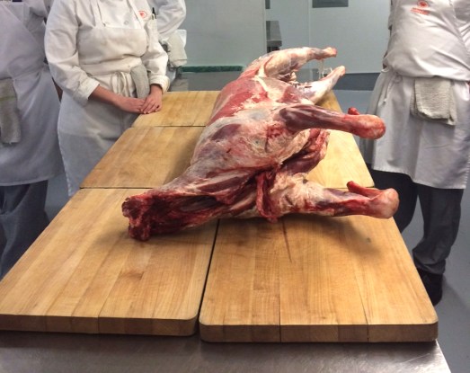 lamb whole.jpg