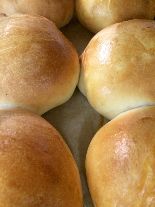 pain au lait buns.jpg