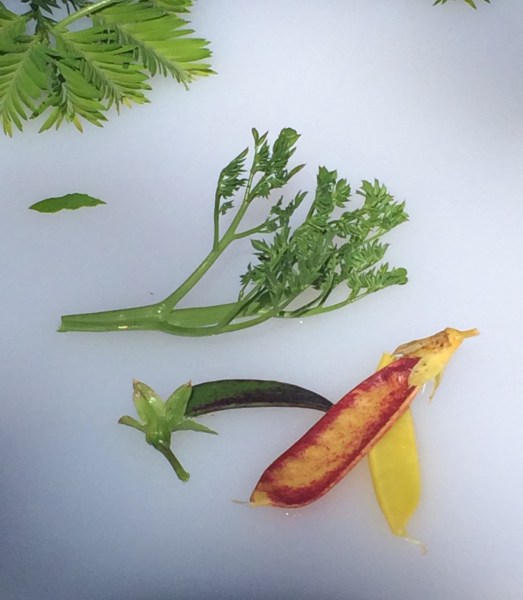 jacobsen produce.jpg