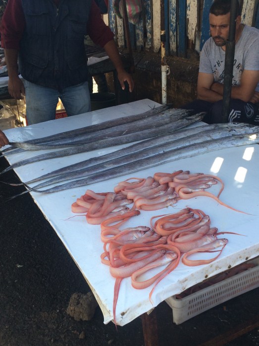 essaouira fish.jpg